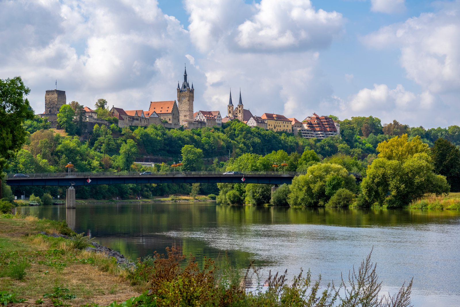 Kaiserpfalz und Blauer Turm über dem Neckar in Bad Wimpfen